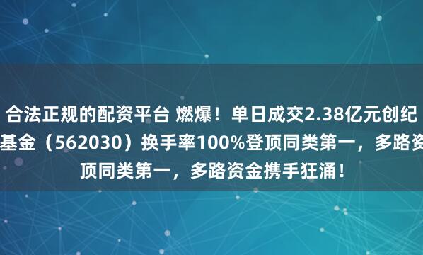合法正规的配资平台 燃爆！单日成交2.38亿元创纪录！信创ETF基金（562030）换手率100%登顶同类第一，多路资金携手狂涌！