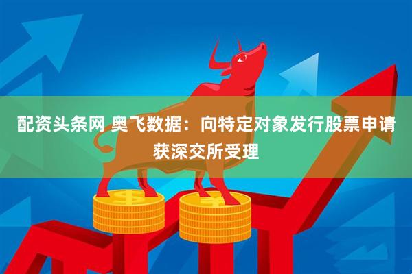 配资头条网 奥飞数据：向特定对象发行股票申请获深交所受理