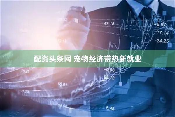 配资头条网 宠物经济带热新就业