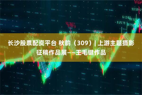 长沙股票配资平台 秋韵（309）| 上游主题摄影征稿作品展——王毛键作品
