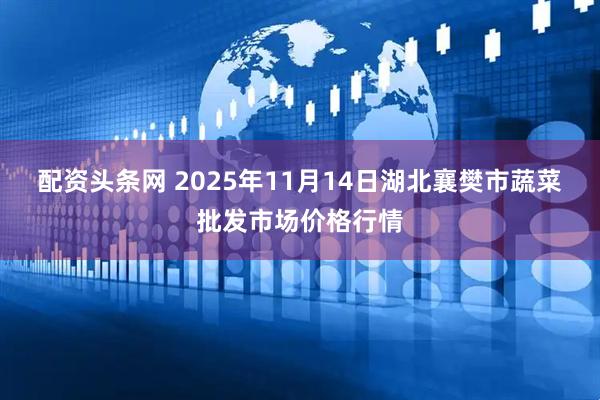 配资头条网 2025年11月14日湖北襄樊市蔬菜批发市场价格行情